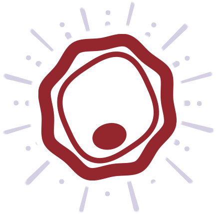 Bacteria Attacked by OH Radicals